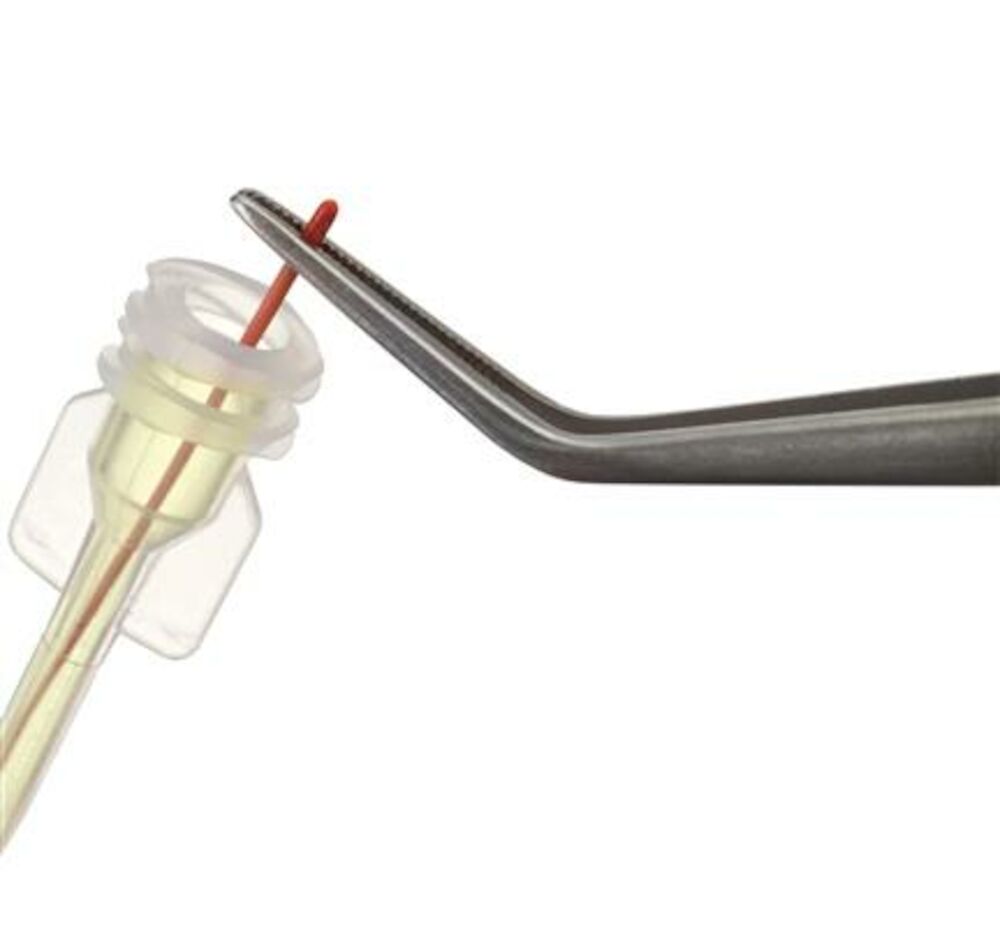 Ultradent EndoREZ Accelerator (ampulle) 1 x 20 stk — NO1