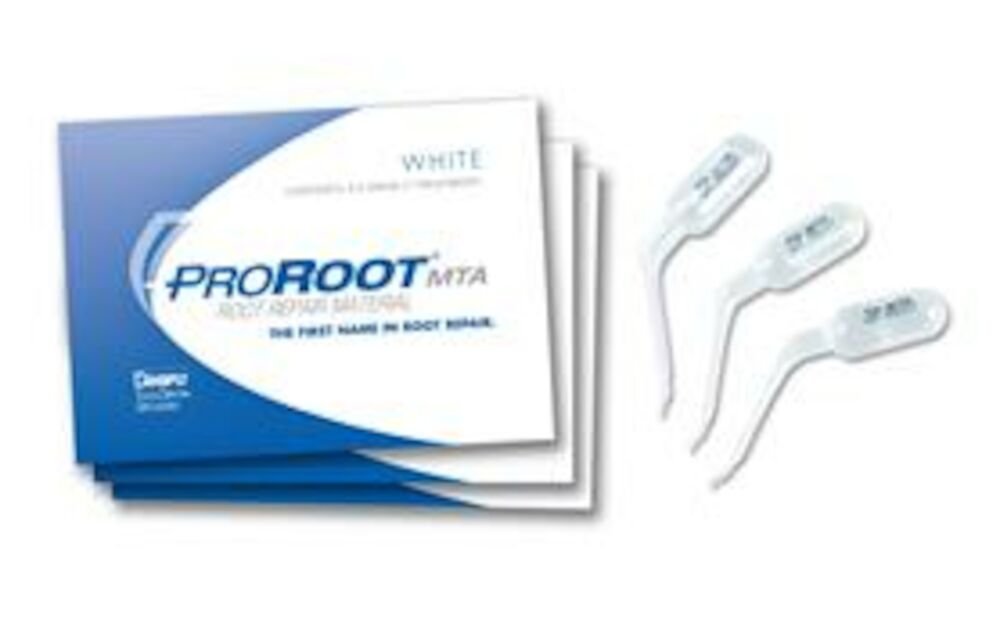 Dentsply ProRoot MTA white 10x0,5g A040504 10 x 0.5 g — NO1