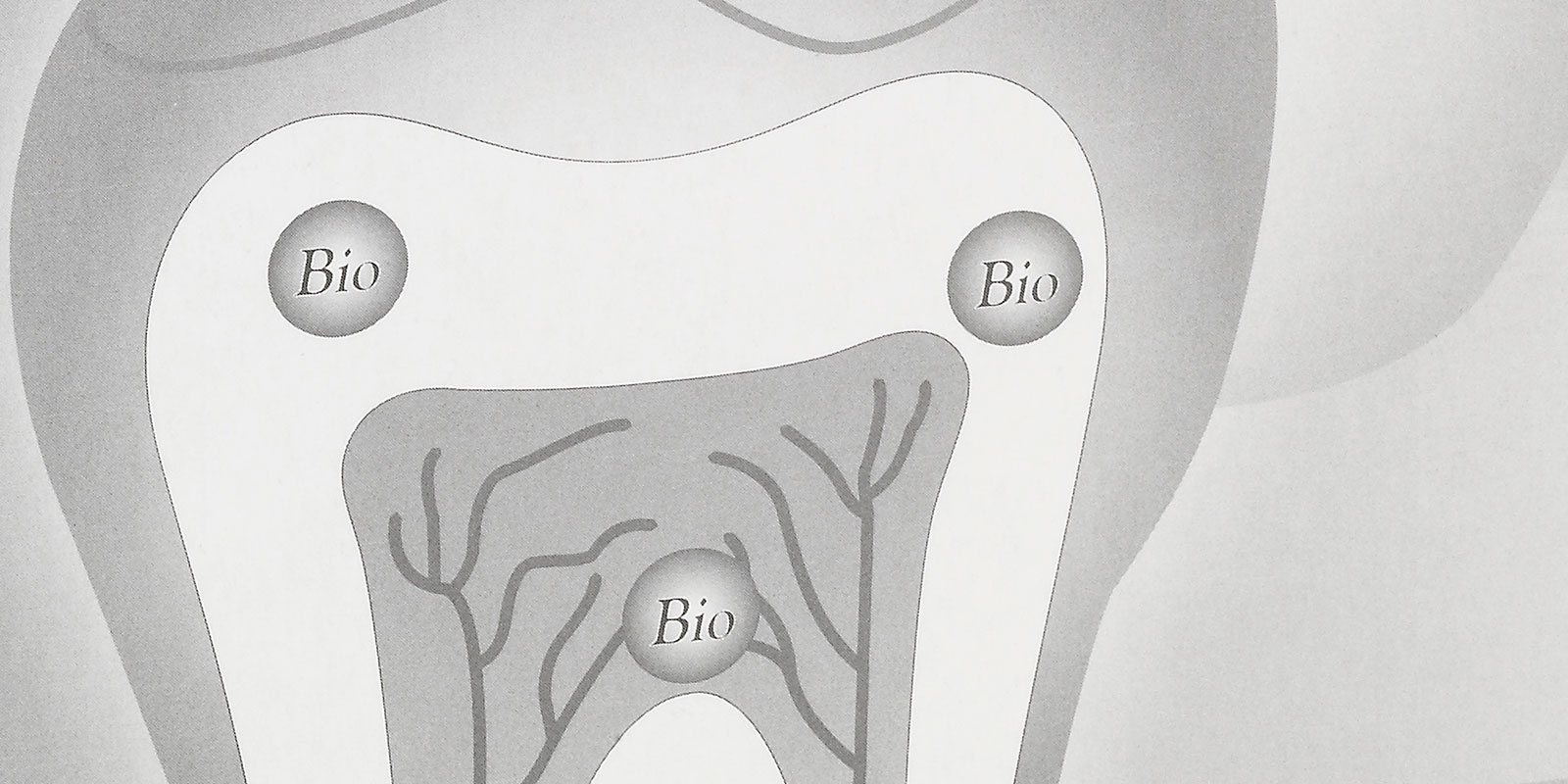 Biodentine-tegning-tann-1600x800-web.jpg