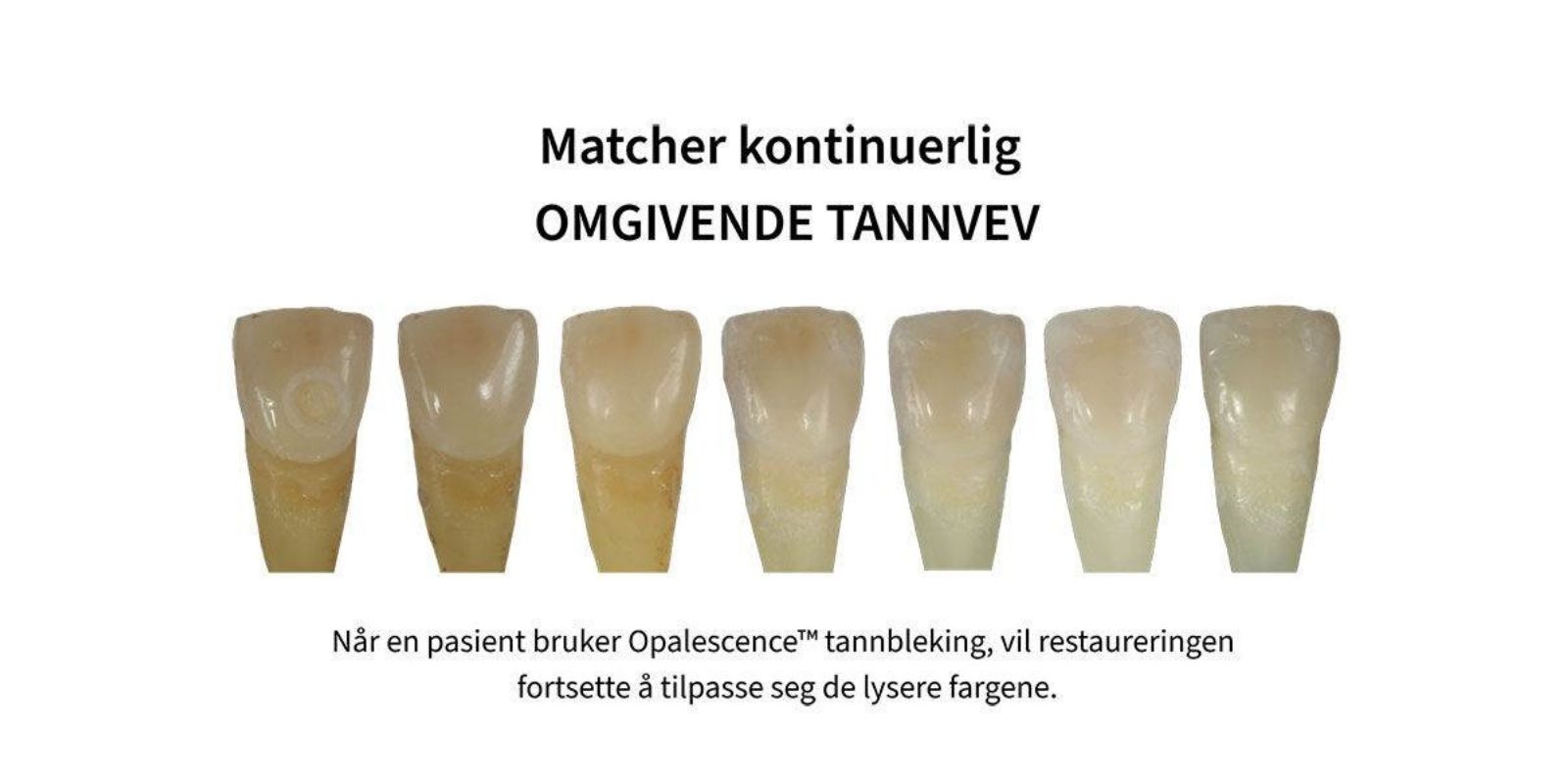 Transcend erfaringer 1.jpg